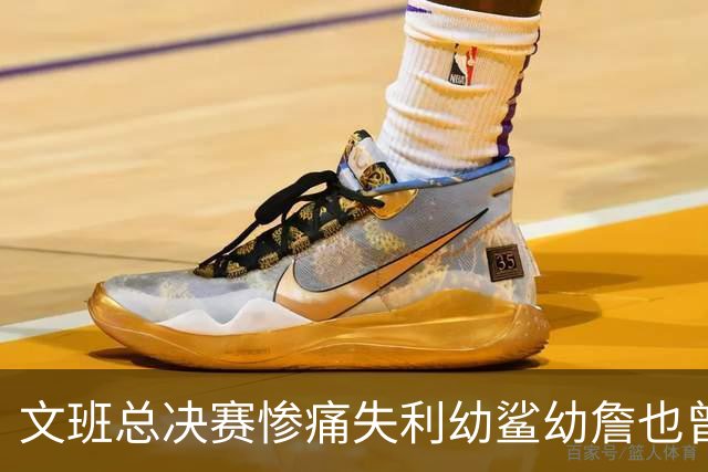 文班总决赛惨痛失利幼鲨幼詹也曾经历 马刺能靠独特性杀回来吗？